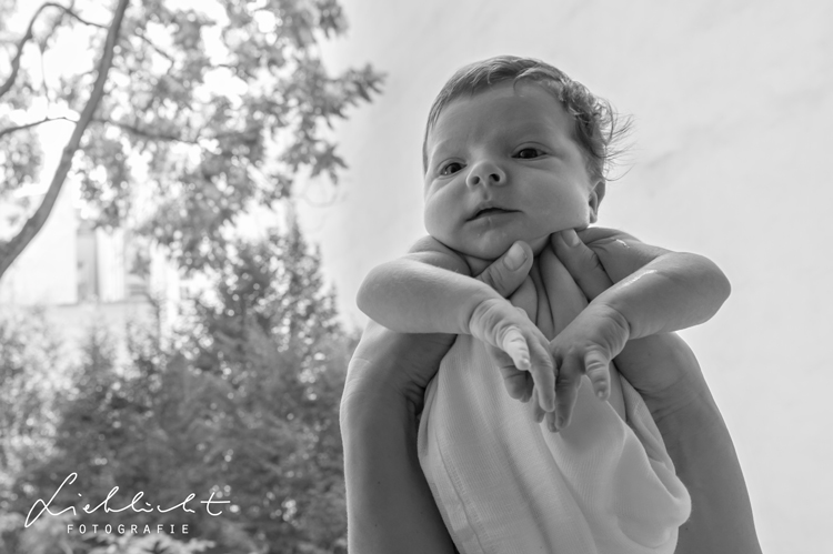lieblicht-13-familienfotografin-kinderfoto-wien