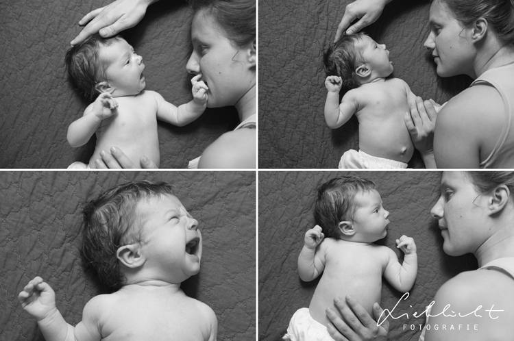 lieblicht-15-babyfotos-natürlich-wien