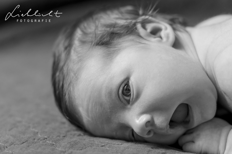 Newbornfotografie Wien